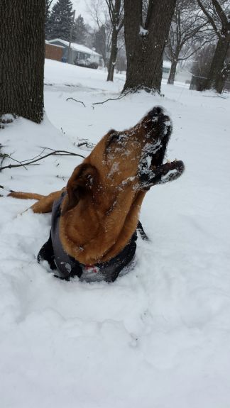 I can catch the snow!!