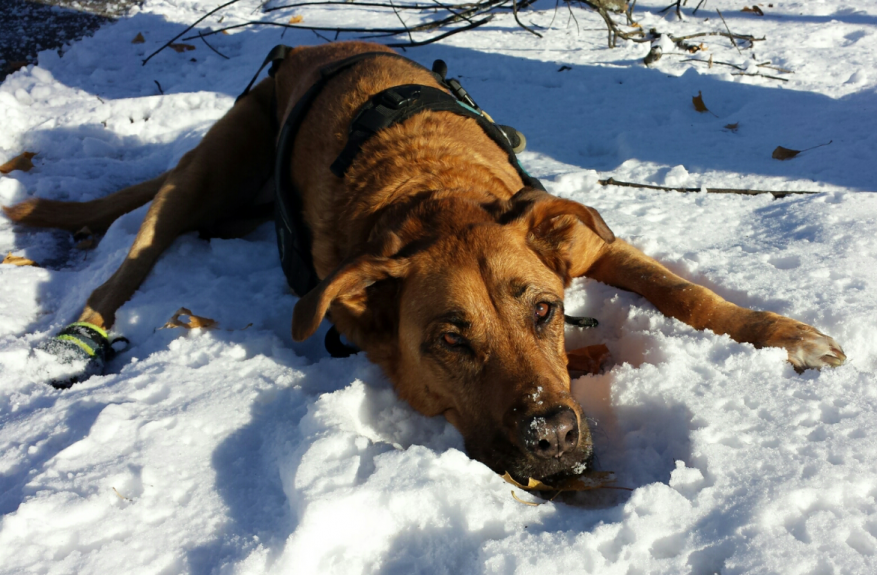 I like laying in, mudd, water and of course SNOW!!